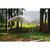 ShelterLogic SuperMax Canopy, White, 10 x 20 ft.