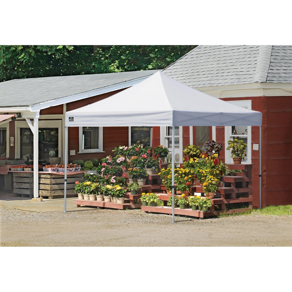 ShelterLogic Alumi-Max Pop-up Canopy with Roller Bag, White, 10 x 10 ft.