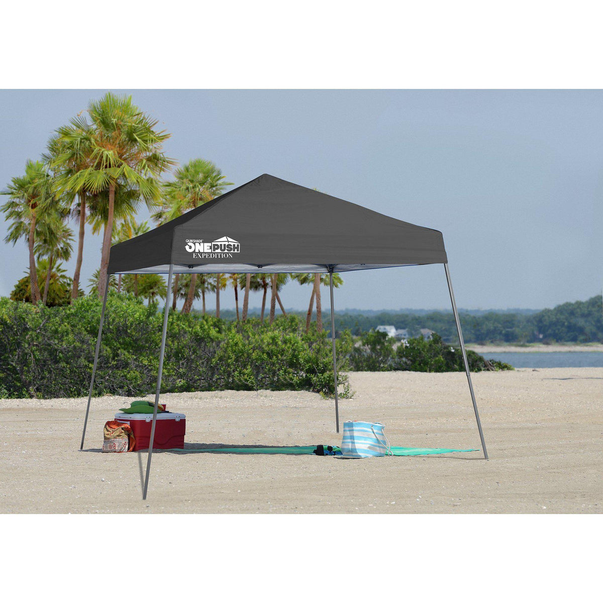 Quik Shade Expedition One Push 10 x 10 ft. Slant Leg Canopy