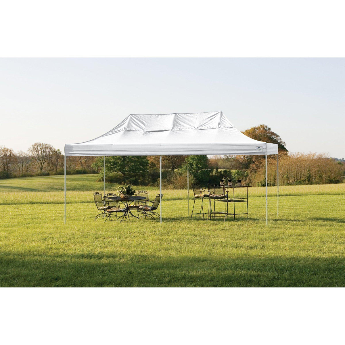 ShelterLogic Straight Leg Pop-Up Canopy with Roller Bag, 10 x 10 ft.