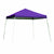 ShelterLogic Slant Leg Pop-Up Canopy with Roller Bag, 10 x 10 ft.